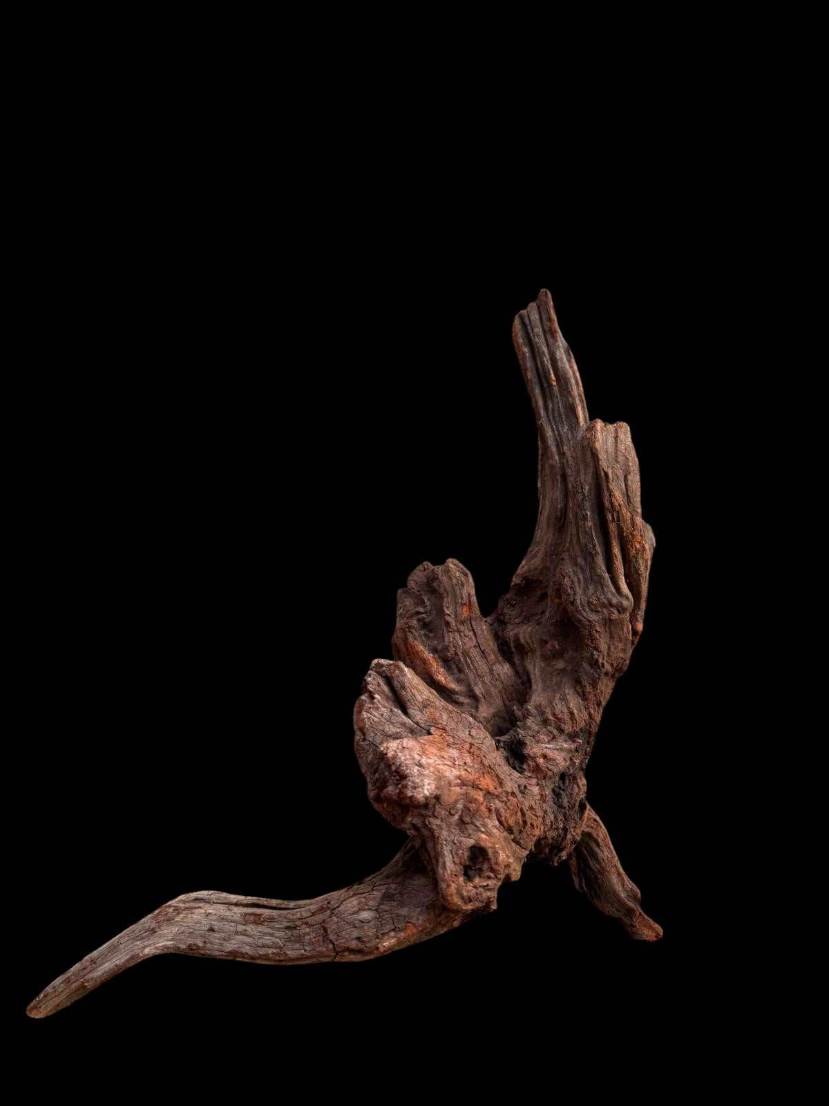Drift Wood - 48*18*25 - cod.045 AQPET