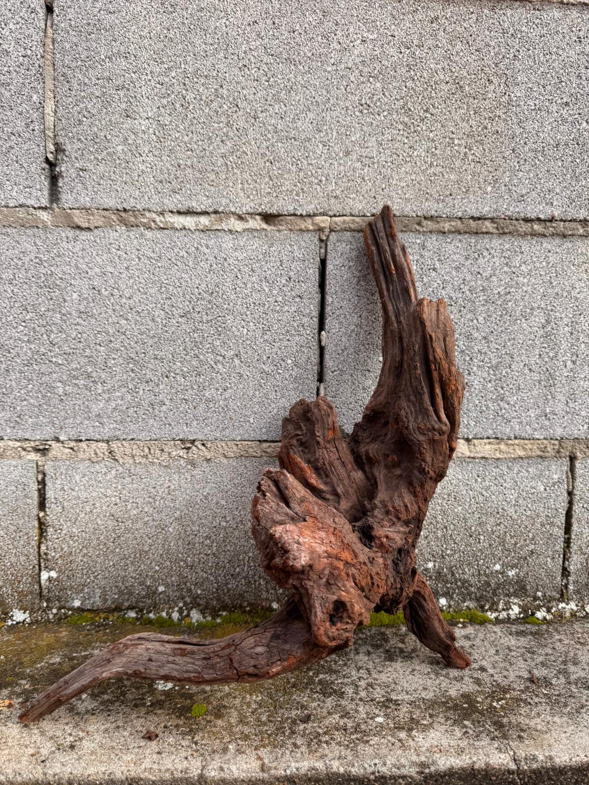 Drift Wood - 48*18*25 - cod.045 AQPET