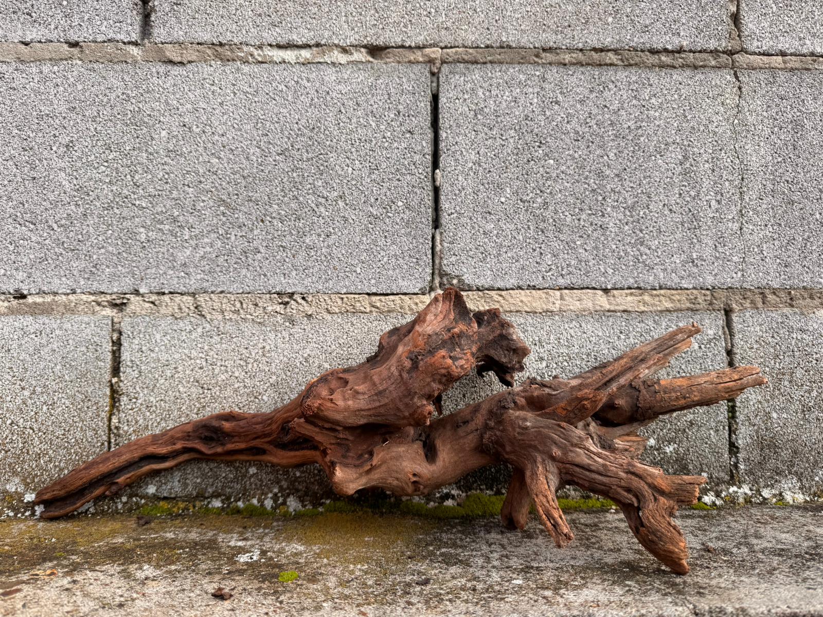 Drift Wood - 53*14*16 - cod.046 AQPET