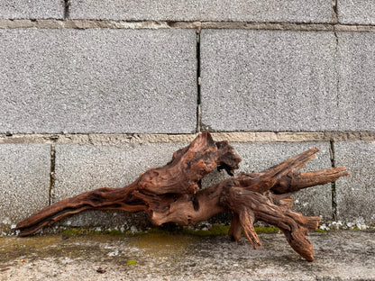 Drift Wood - 53*14*16 - cod.046 AQPET