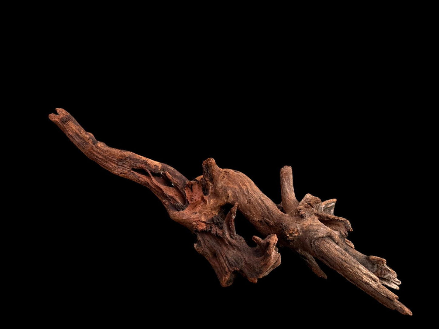 Drift Wood - 53*14*16 - cod.046 AQPET