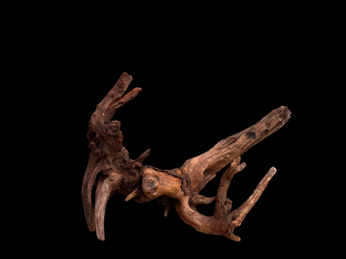 Drift Wood - 77*53*41 - cod.049 AQPET