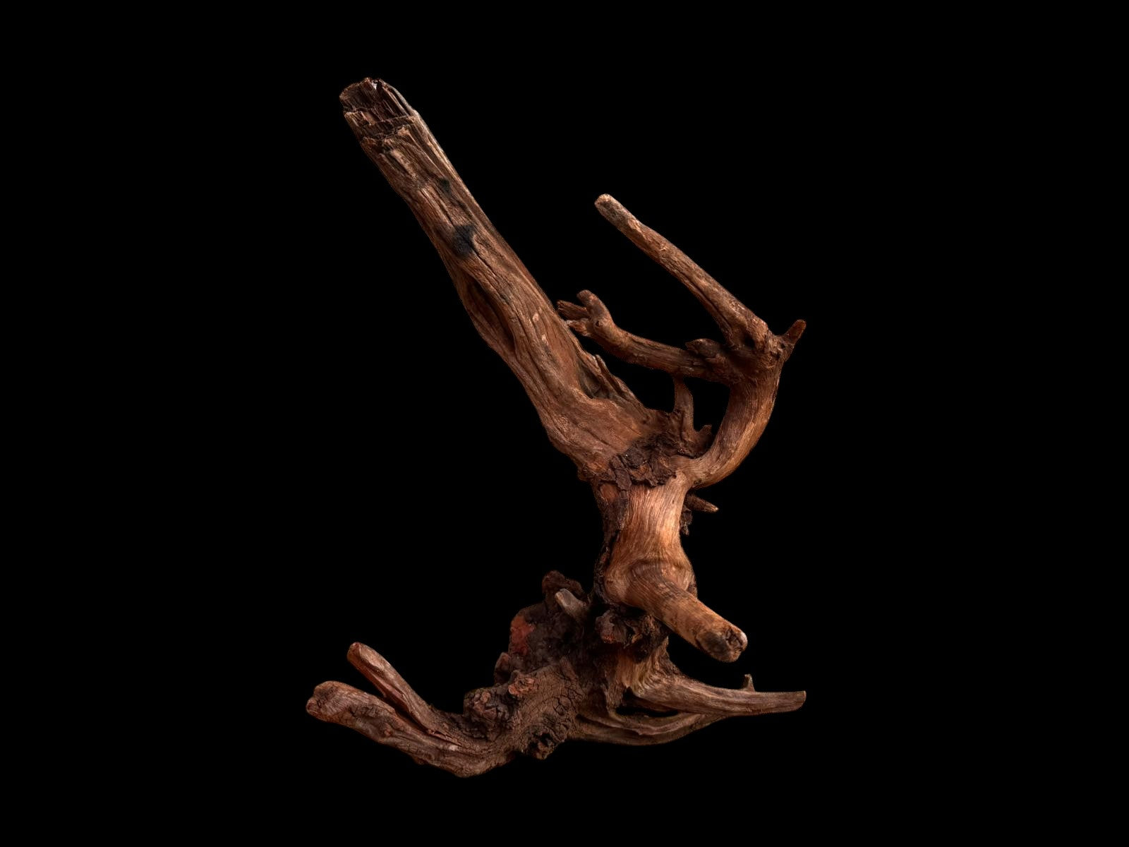 Drift Wood - 77*53*41 - cod.049 AQPET