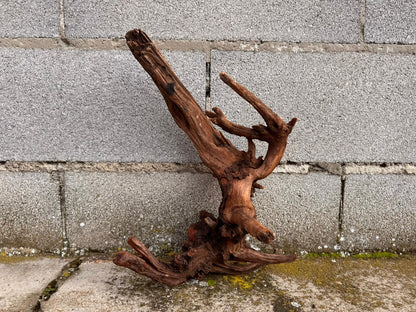 Drift Wood - 77*53*41 - cod.049 AQPET