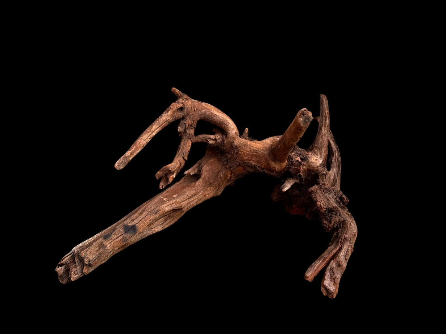 Drift Wood - 77*53*41 - cod.049 AQPET