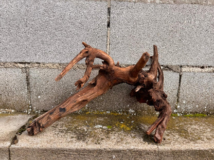 Drift Wood - 77*53*41 - cod.049 AQPET