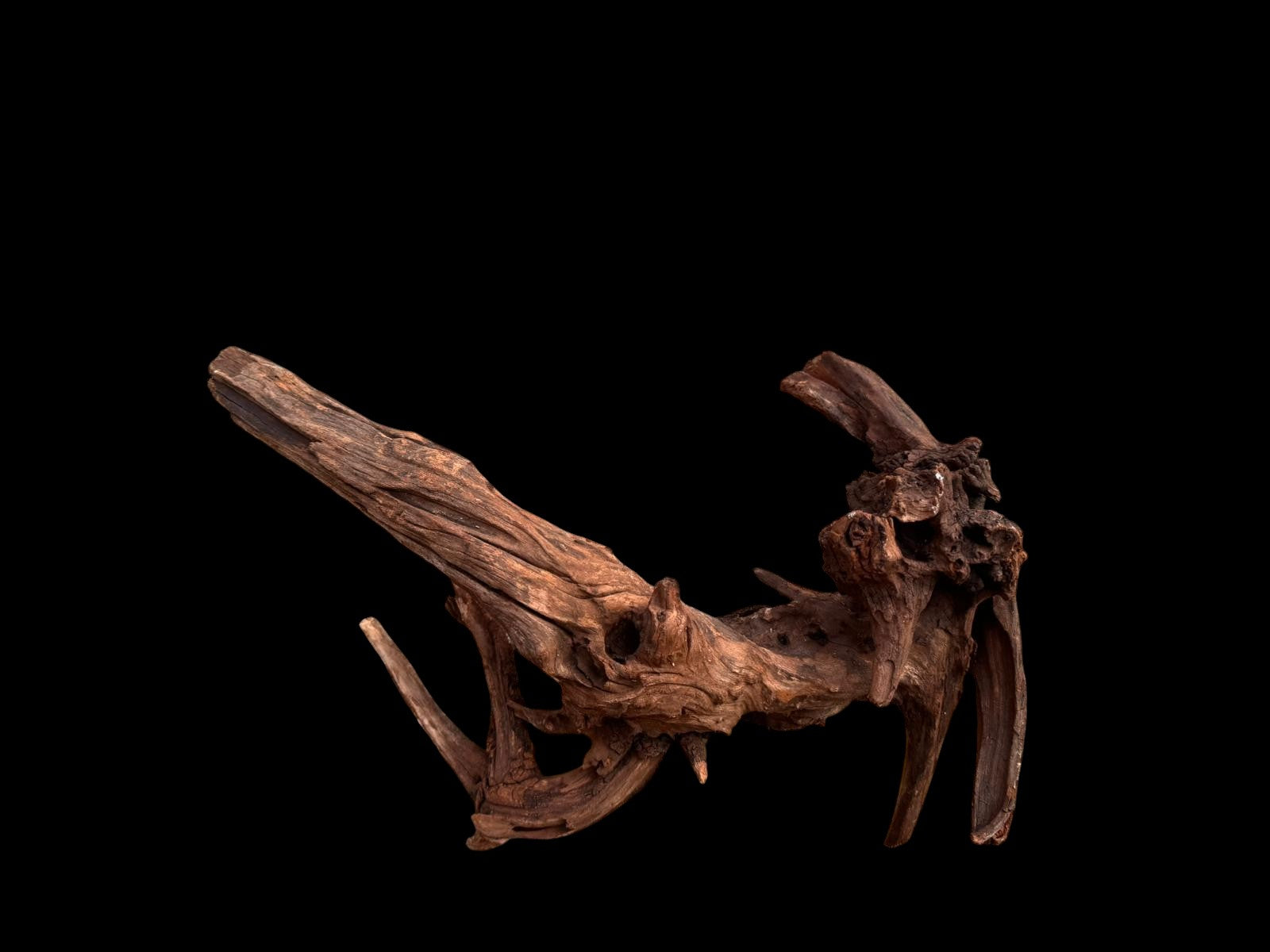 Drift Wood - 77*53*41 - cod.049 AQPET