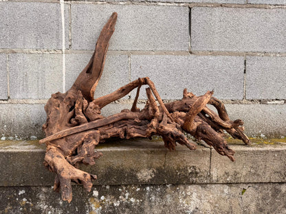 Drift Wood - 77*53*41 - cod.049 AQPET