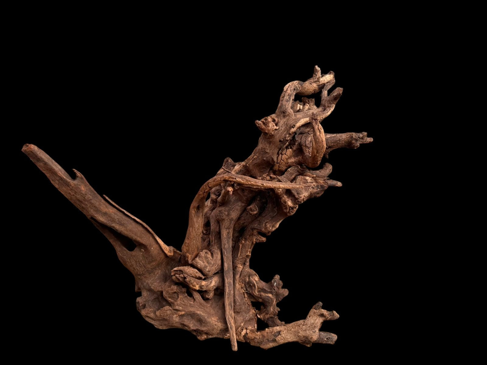 Drift Wood - 77*53*41 - cod.049 AQPET