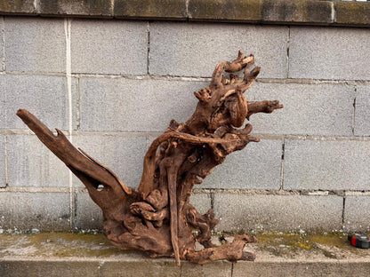 Drift Wood - 77*53*41 - cod.049 AQPET