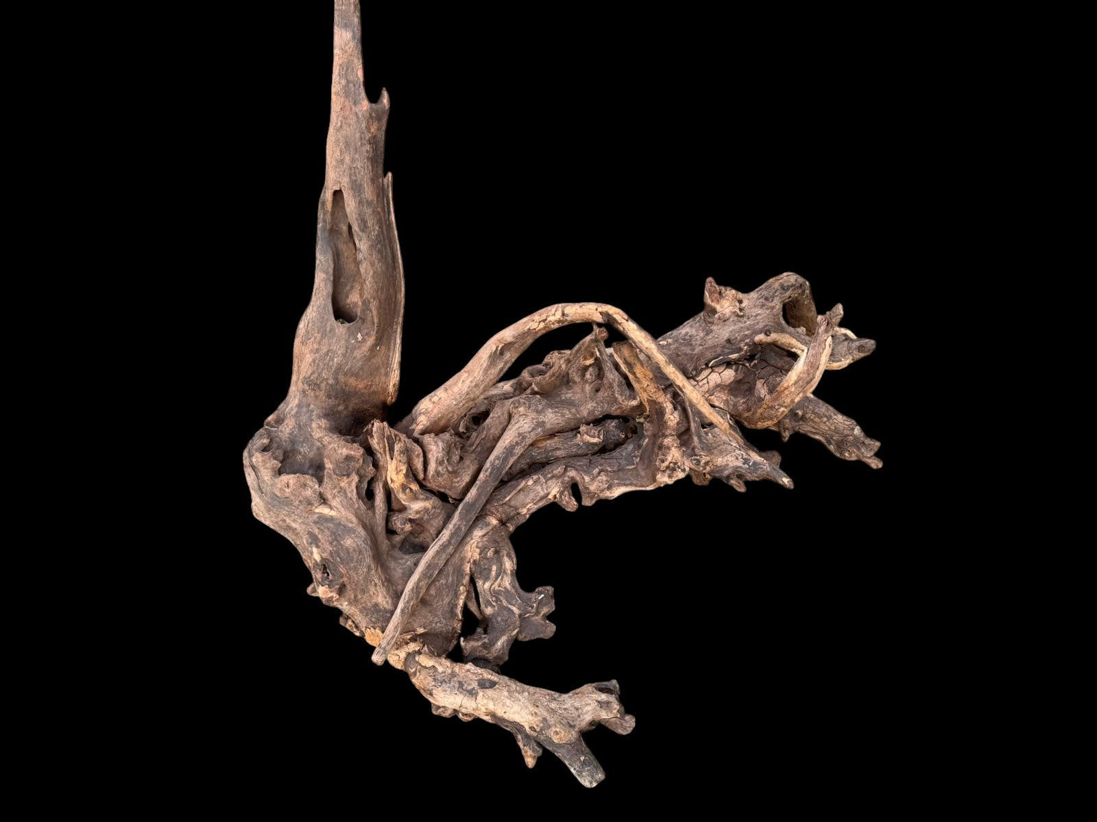 Drift Wood - 77*53*41 - cod.049 AQPET