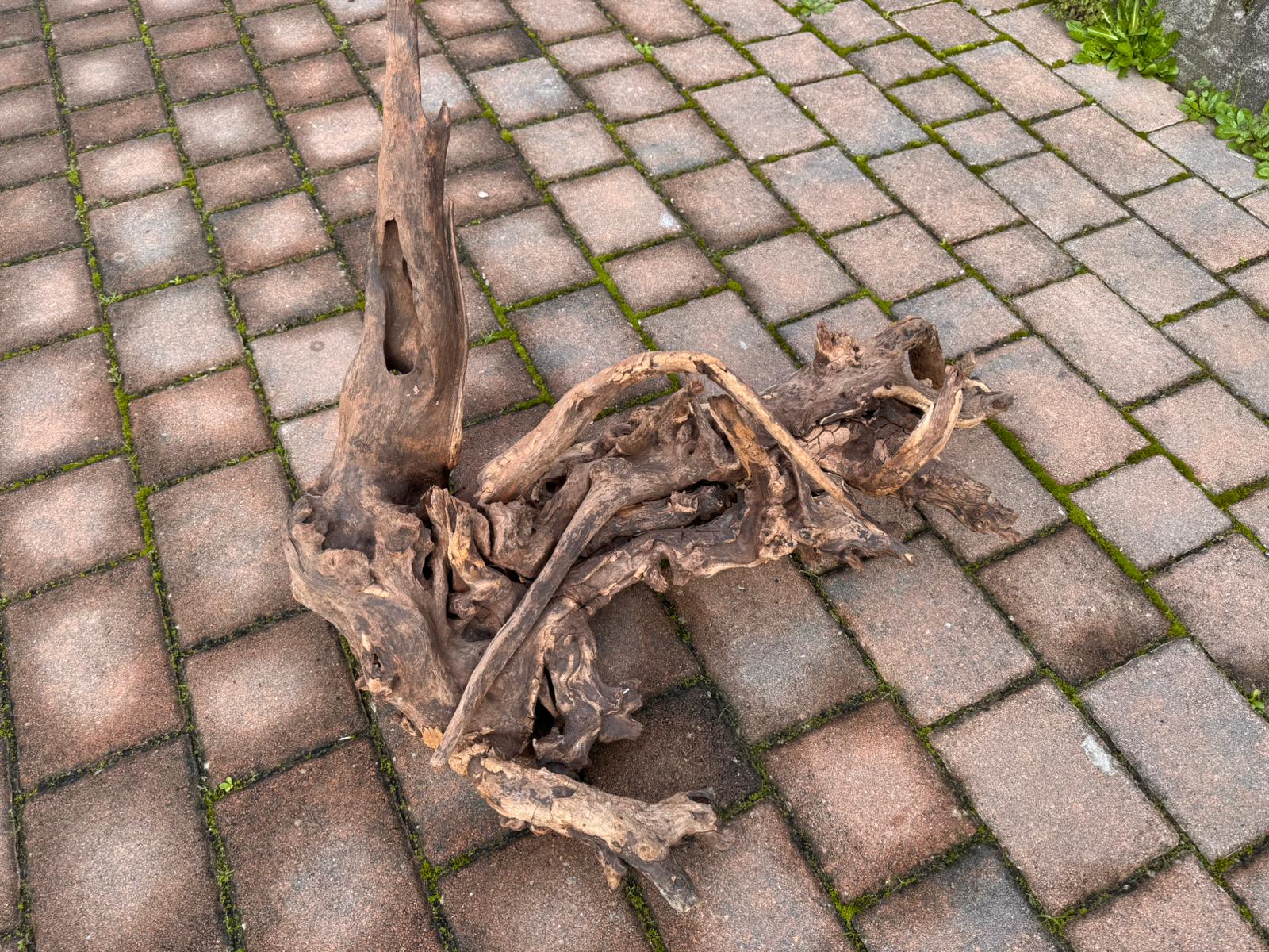 Drift Wood - 77*53*41 - cod.049 AQPET