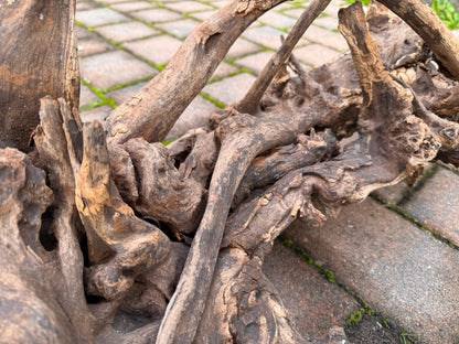 Drift Wood - 77*53*41 - cod.049 AQPET