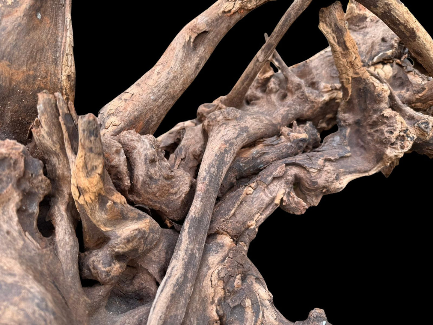 Drift Wood - 77*53*41 - cod.049 AQPET