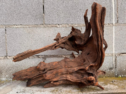 Drift Wood - 54*21*45 - cod.050 AQPET
