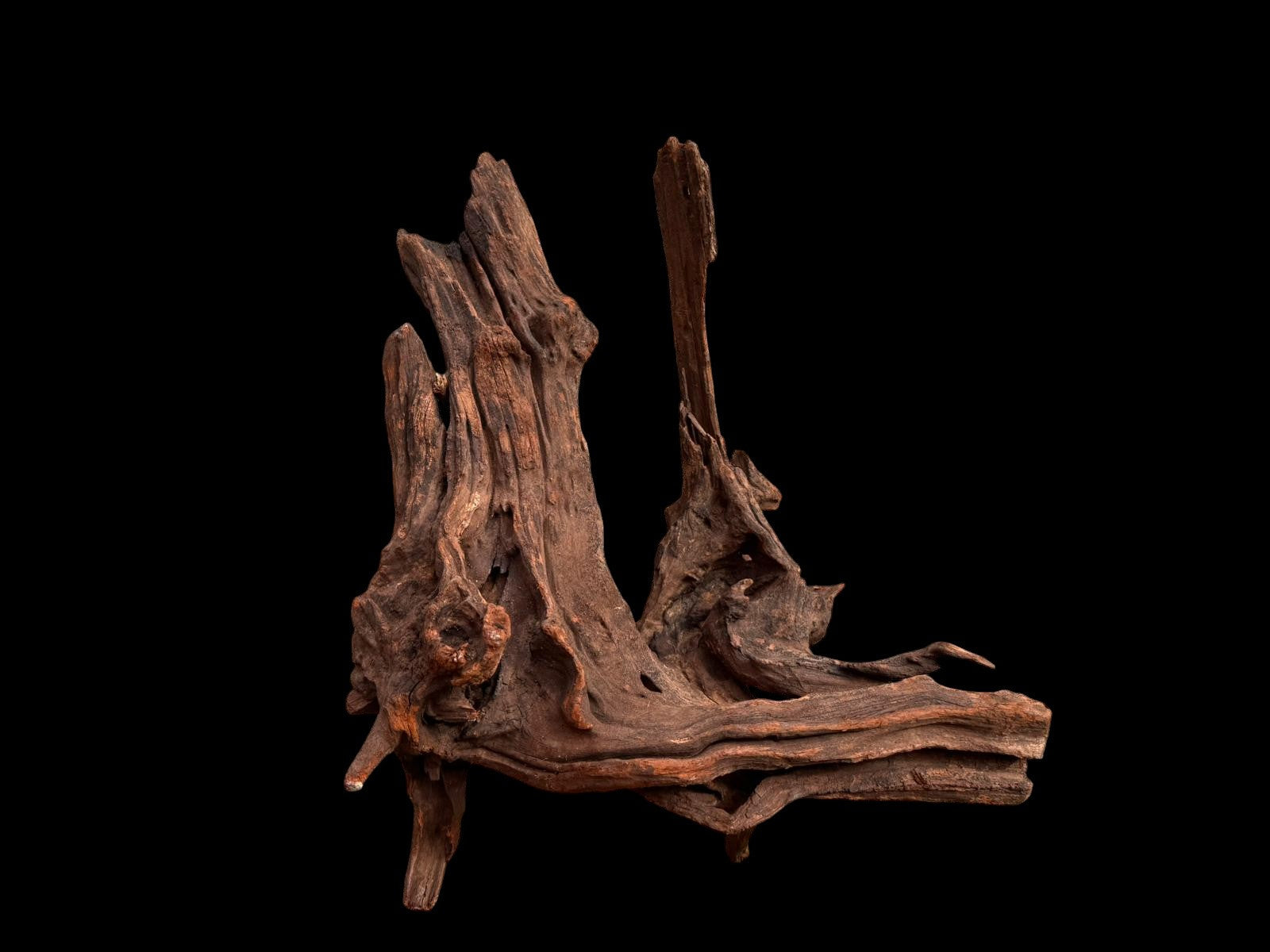 Drift Wood - 54*21*45 - cod.050 AQPET