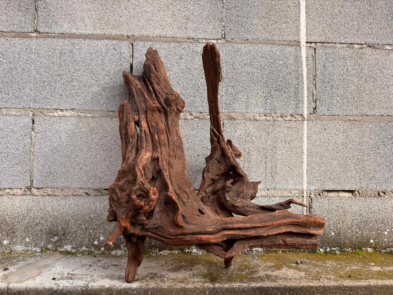 Drift Wood - 54*21*45 - cod.050 AQPET