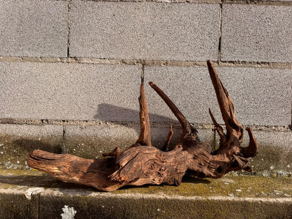 Drift Wood - 63*23*35 - cod.051