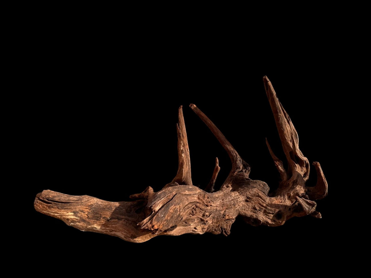 Drift Wood - 63*23*35 - cod.051
