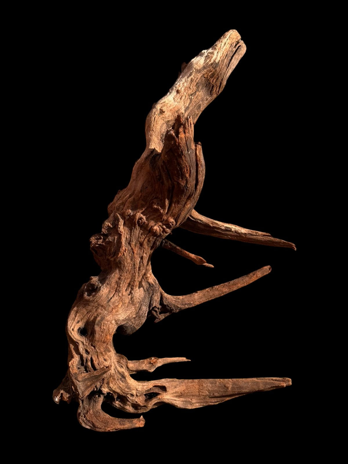 Drift Wood - 63*23*35 - cod.051