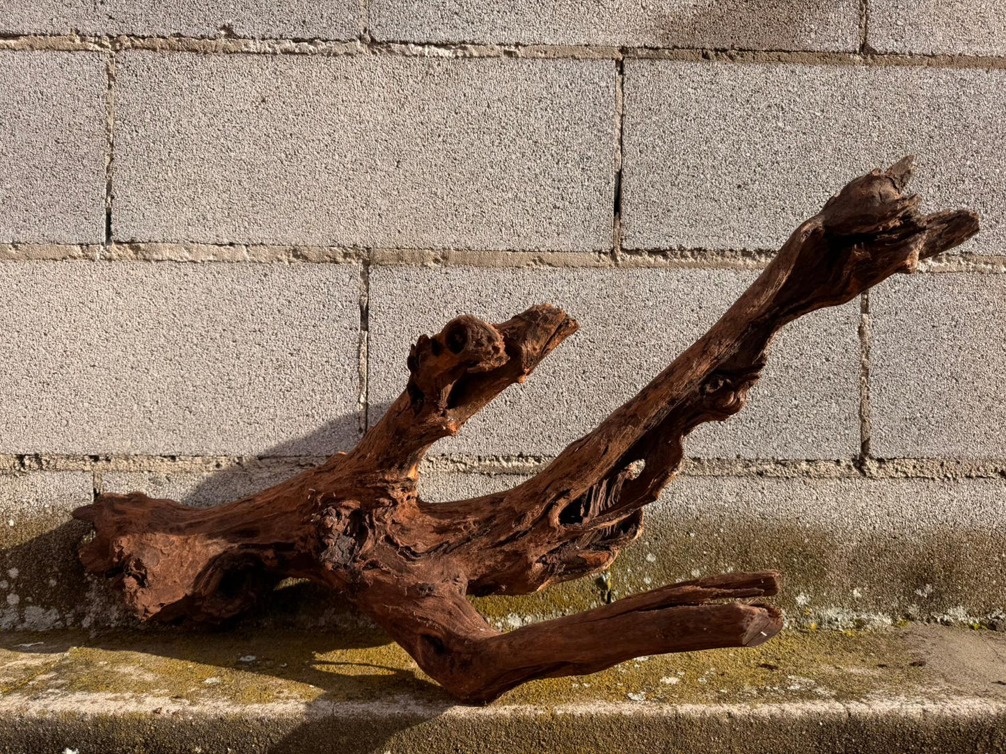 Drift Wood - 72*31*40 - cod.052