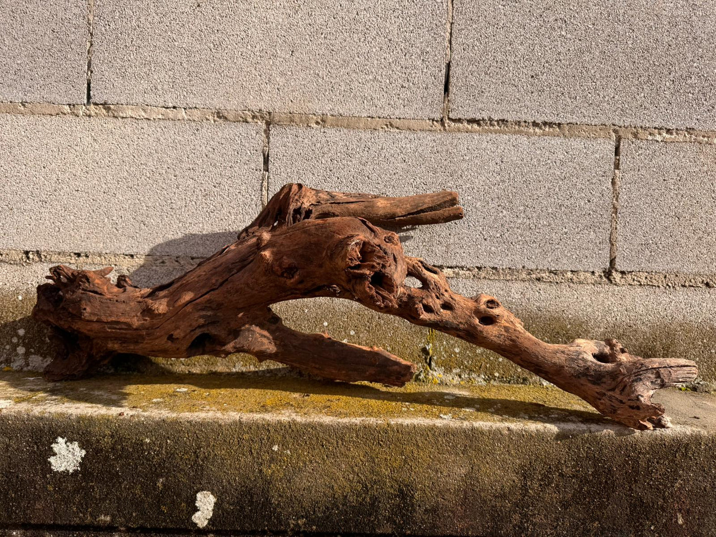Drift Wood - 72*31*40 - cod.052