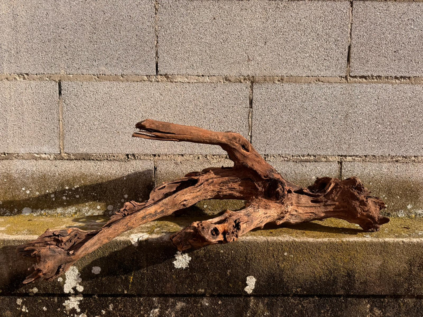 Drift Wood - 72*31*40 - cod.052