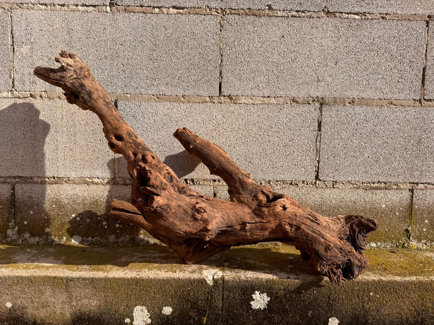 Drift Wood - 72*31*40 - cod.052