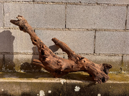 Drift Wood - 72*31*40 - cod.052