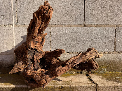 Drift Wood - 61*32*43 - cod.053