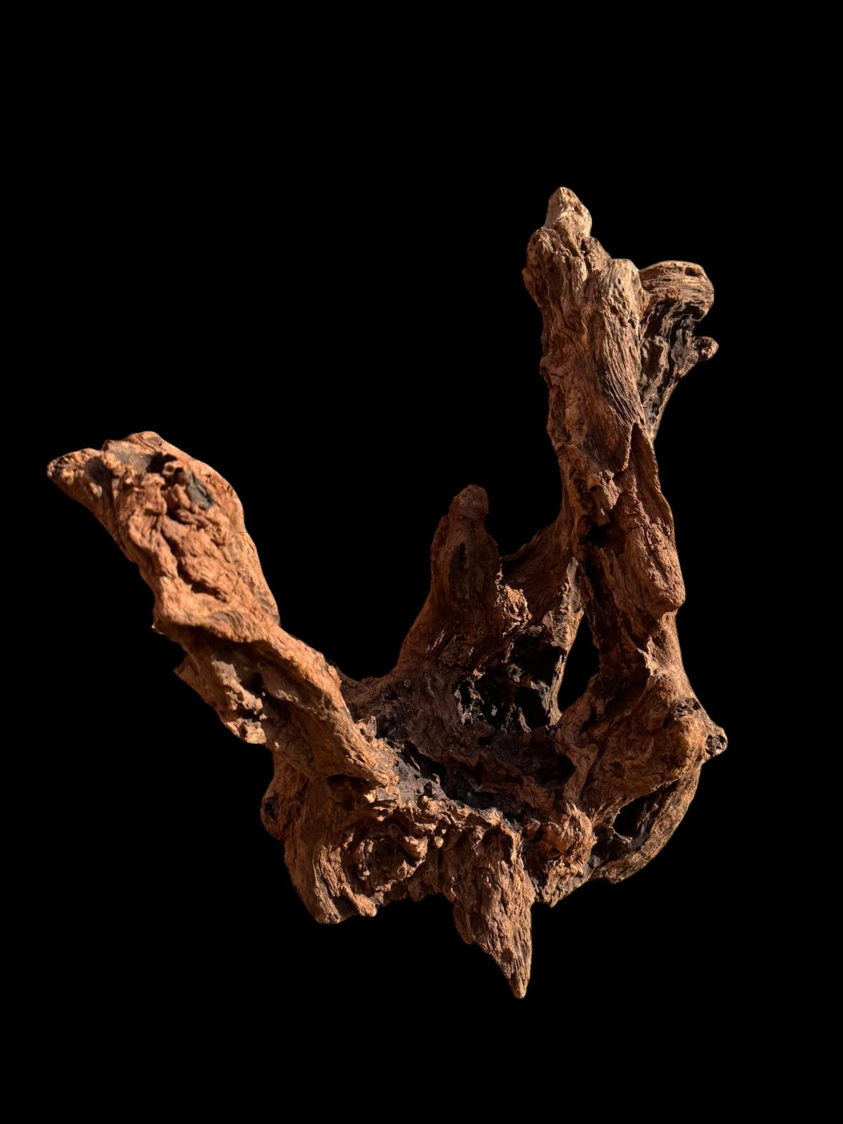 Drift Wood - 61*32*43 - cod.053