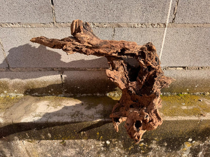Drift Wood - 61*32*43 - cod.053