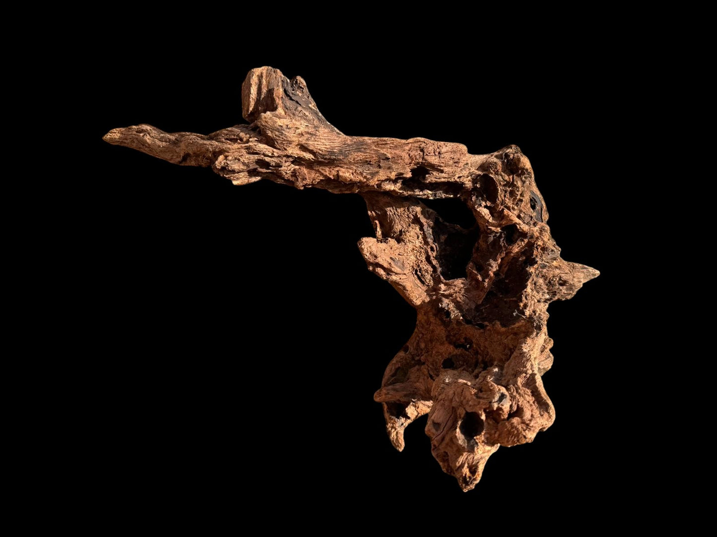 Drift Wood - 61*32*43 - cod.053