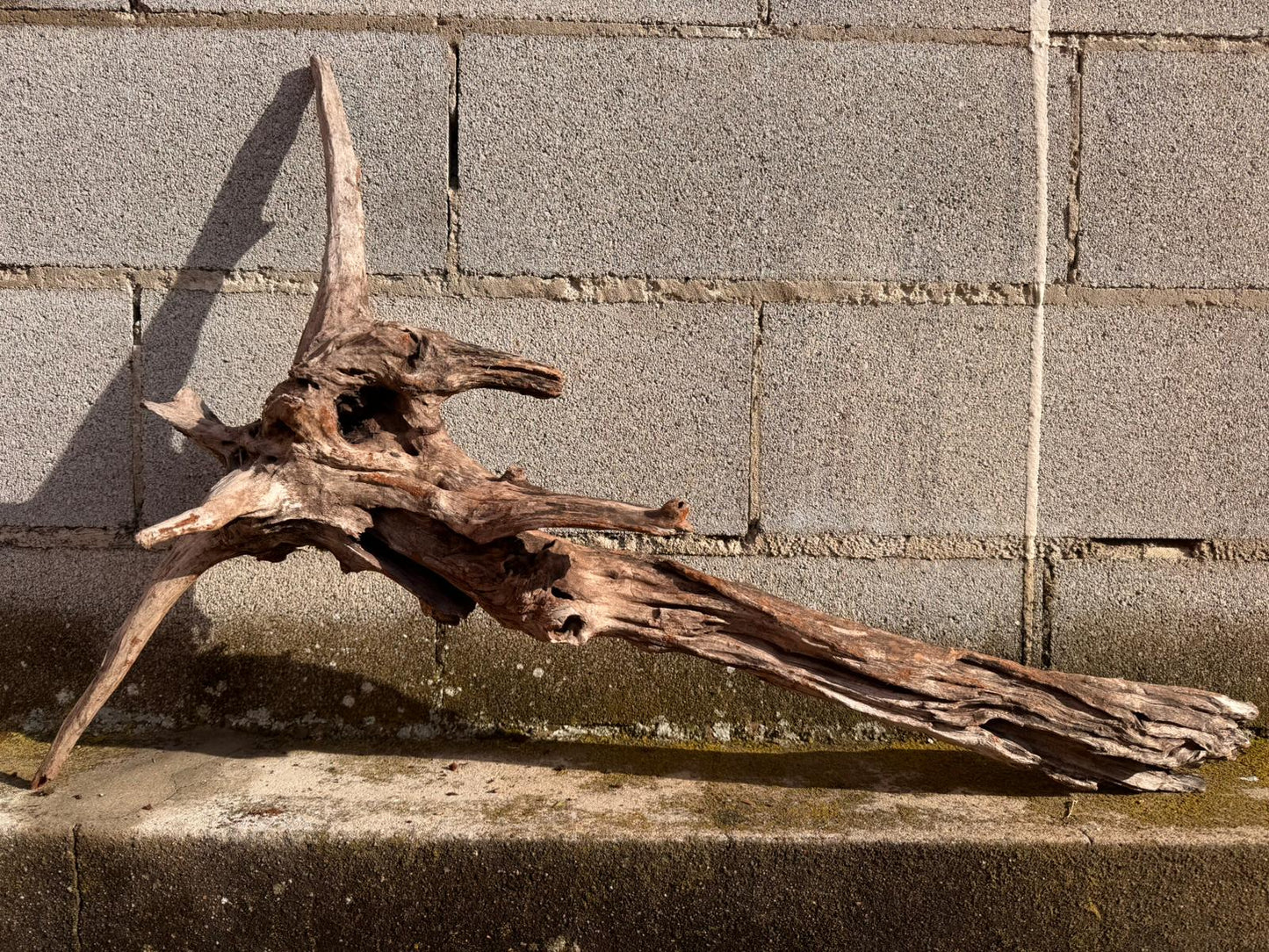 Drift Wood - 85*22*55 - cod.055