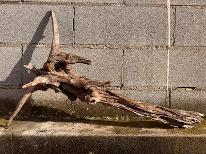 Drift Wood - 85*22*55 - cod.055