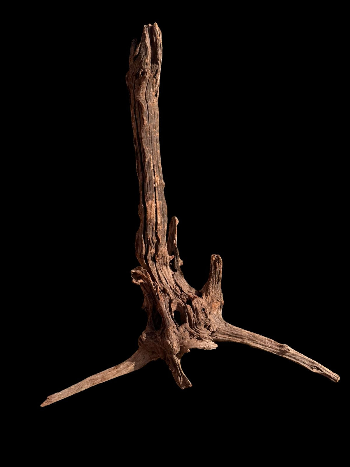 Drift Wood - 85*22*55 - cod.055