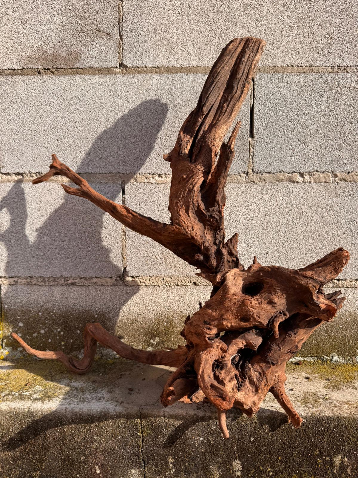 Drift Wood - 60*31*53 - cod.056