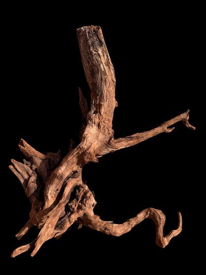 Drift Wood - 60*31*53 - cod.056