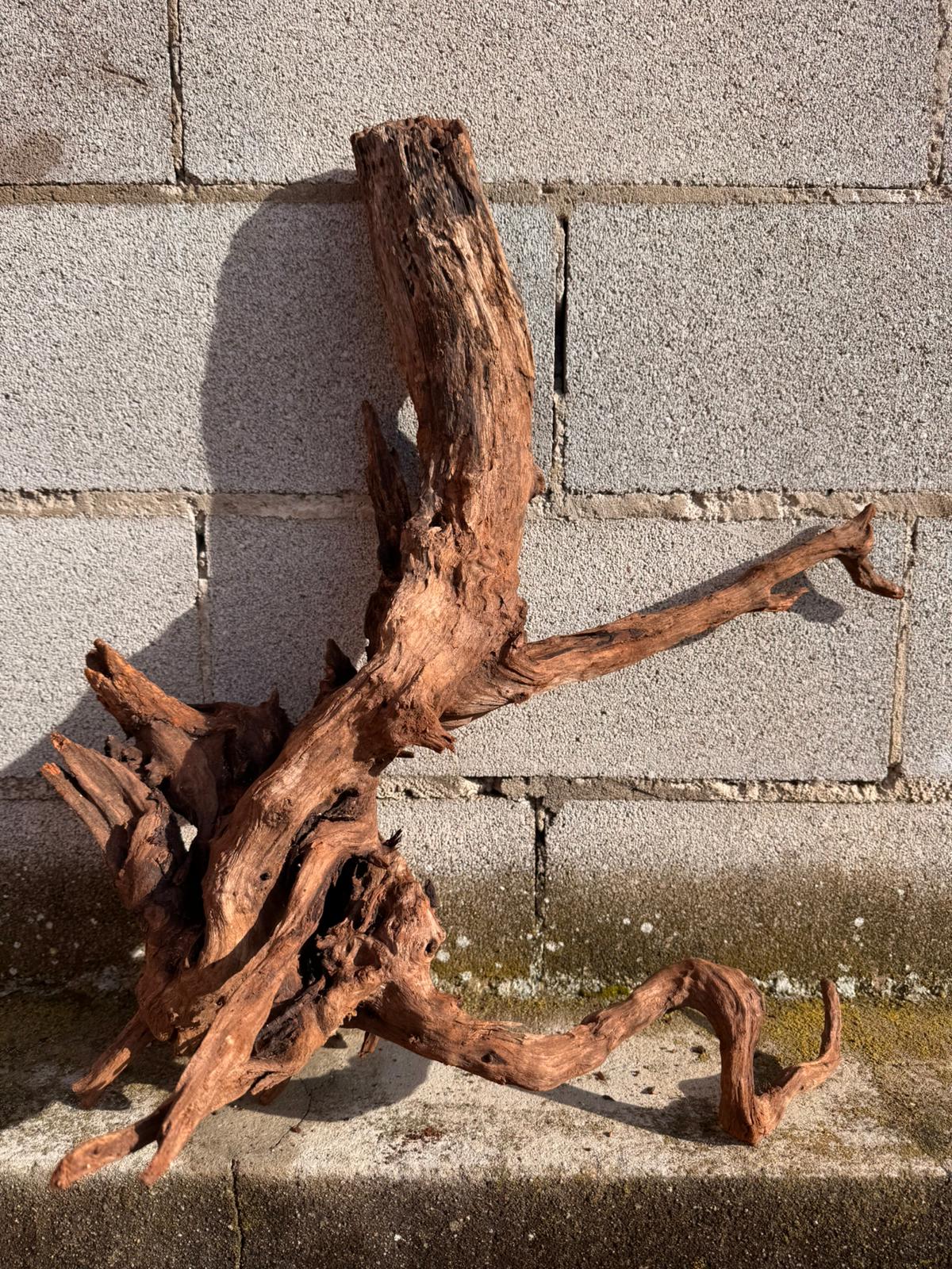 Drift Wood - 60*31*53 - cod.056