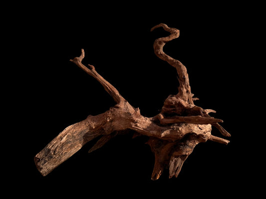 Drift Wood - 60*31*53 - cod.056
