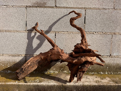Drift Wood - 60*31*53 - cod.056