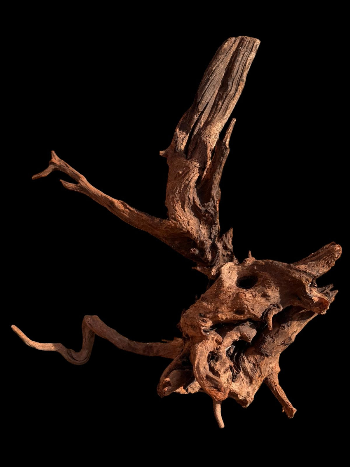 Drift Wood - 60*31*53 - cod.056