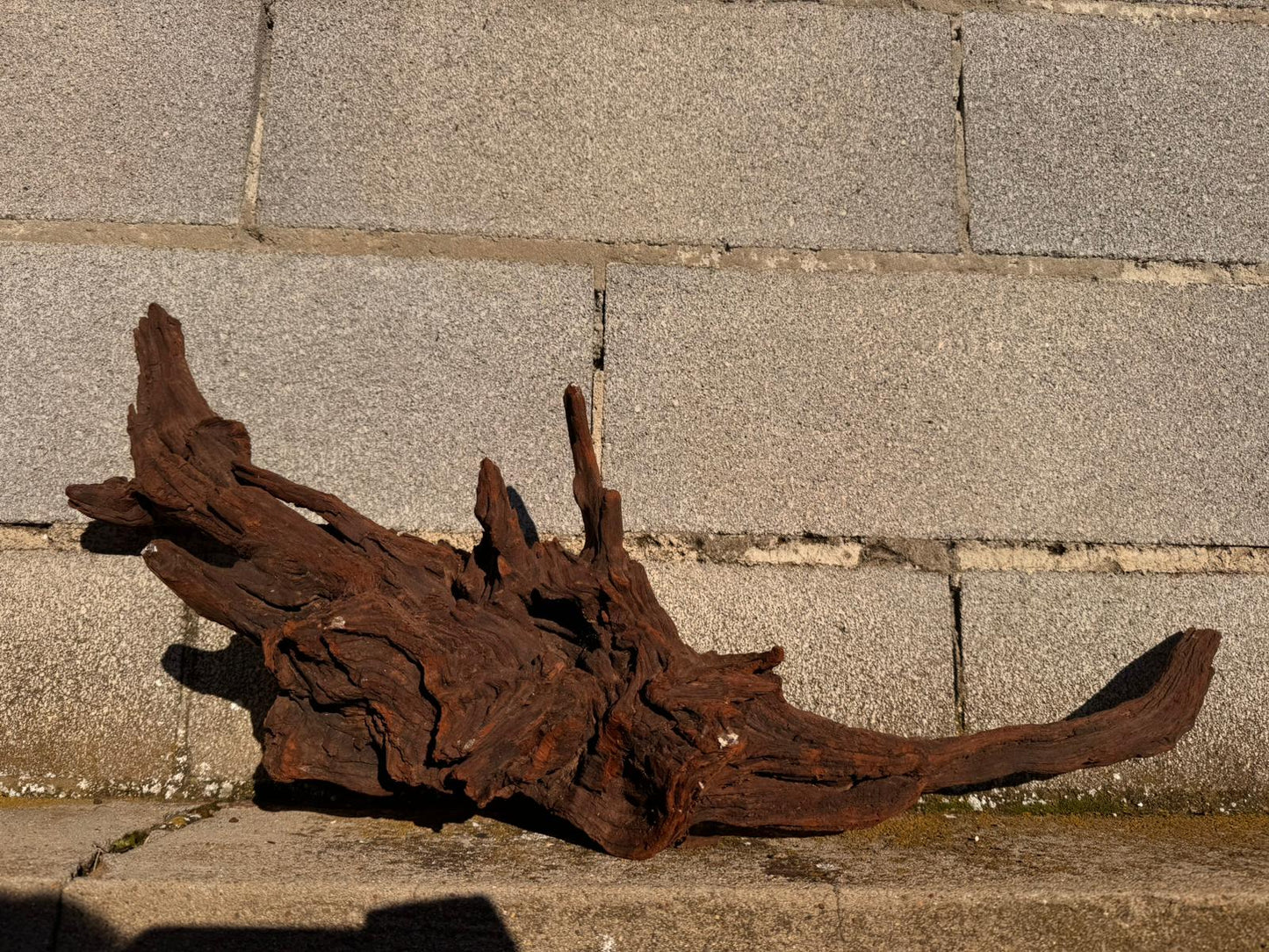 Drift Wood - 71*18*31 - cod.057