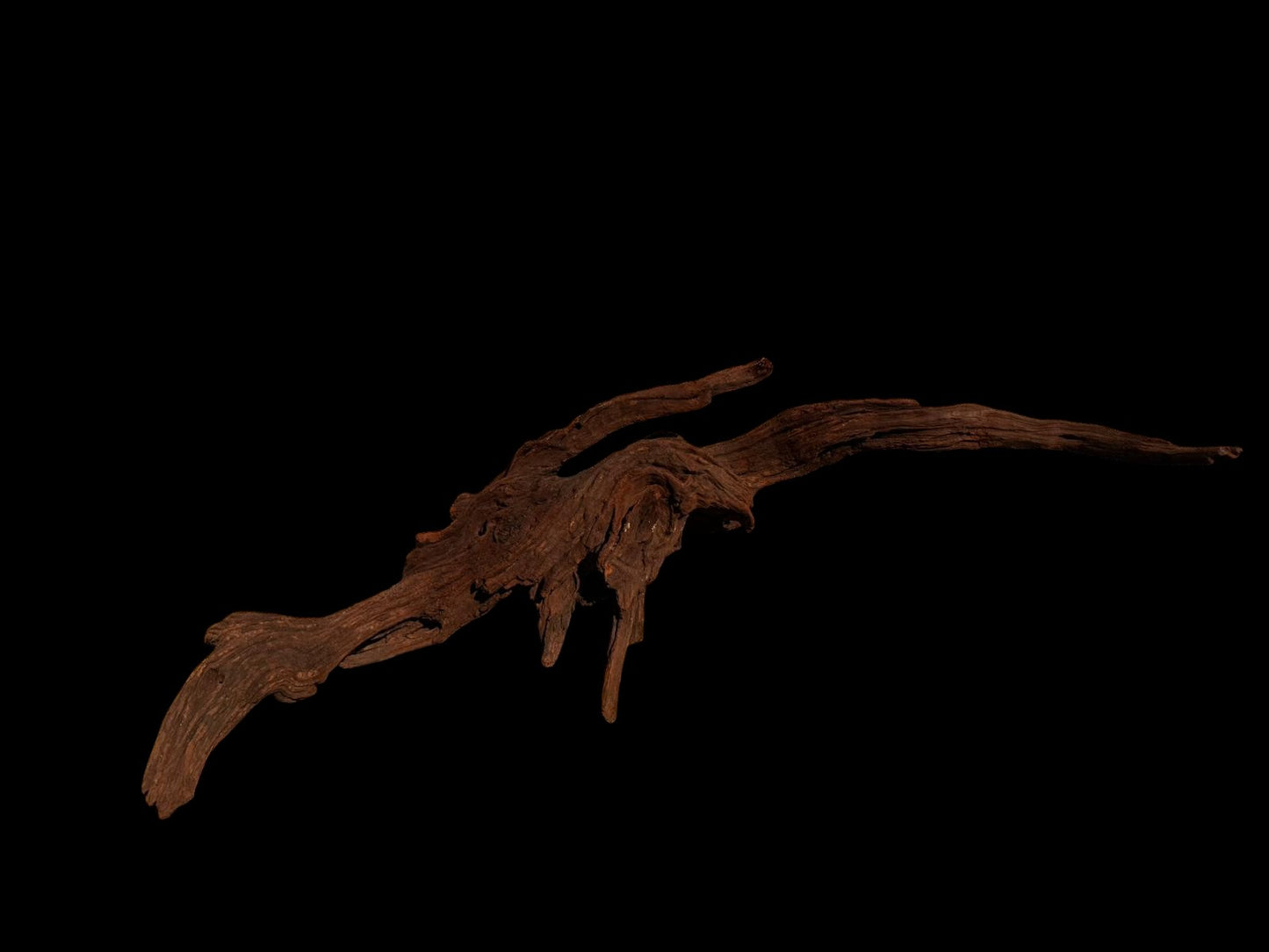 Drift Wood - 71*18*31 - cod.057