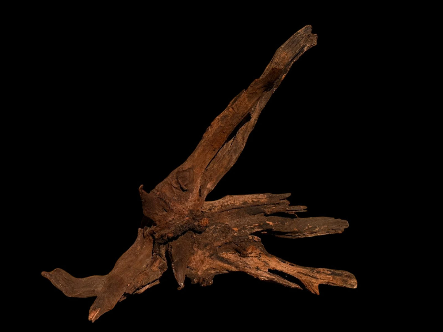 Drift Wood - 58*35*44 - cod.058