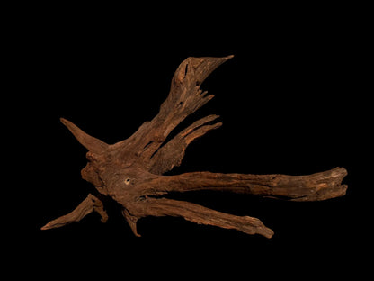 Drift Wood - 58*35*44 - cod.058
