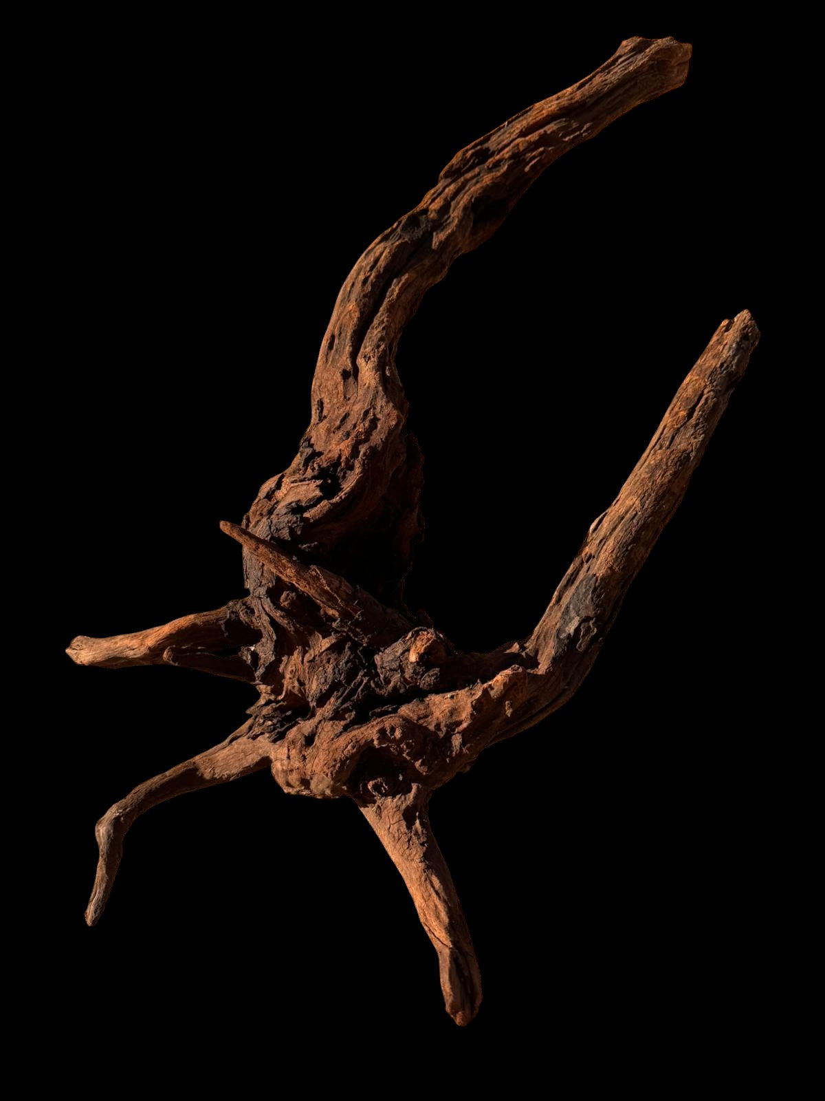 Drift Wood - 40*22*60 - cod.059