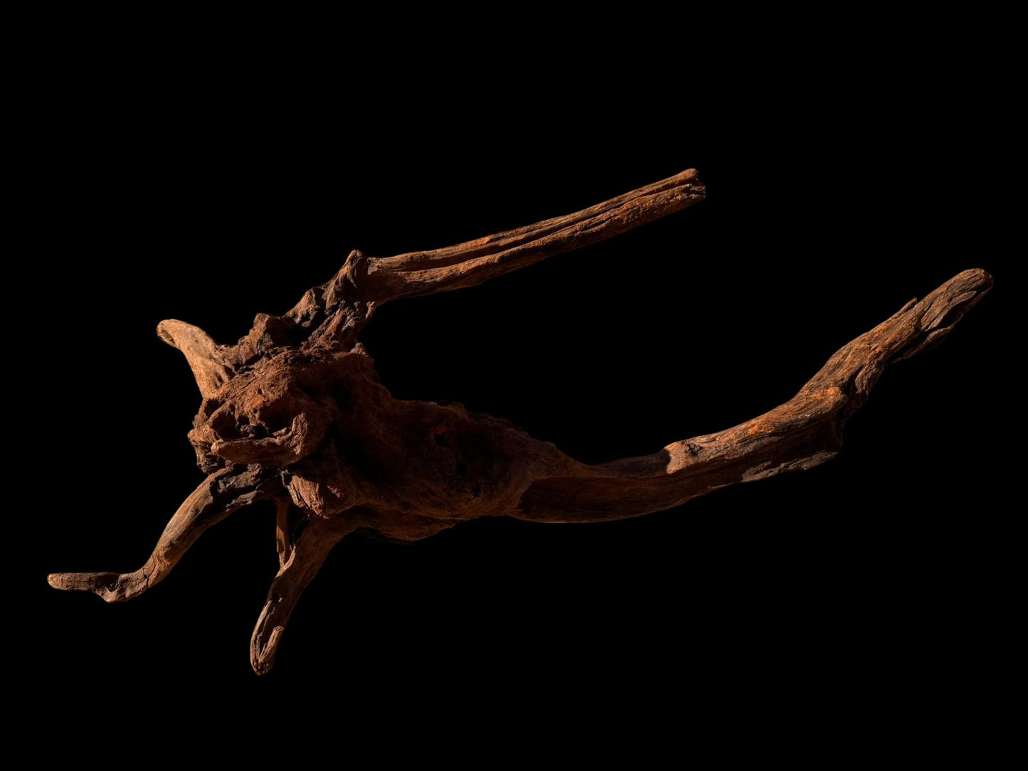 Drift Wood - 40*22*60 - cod.059