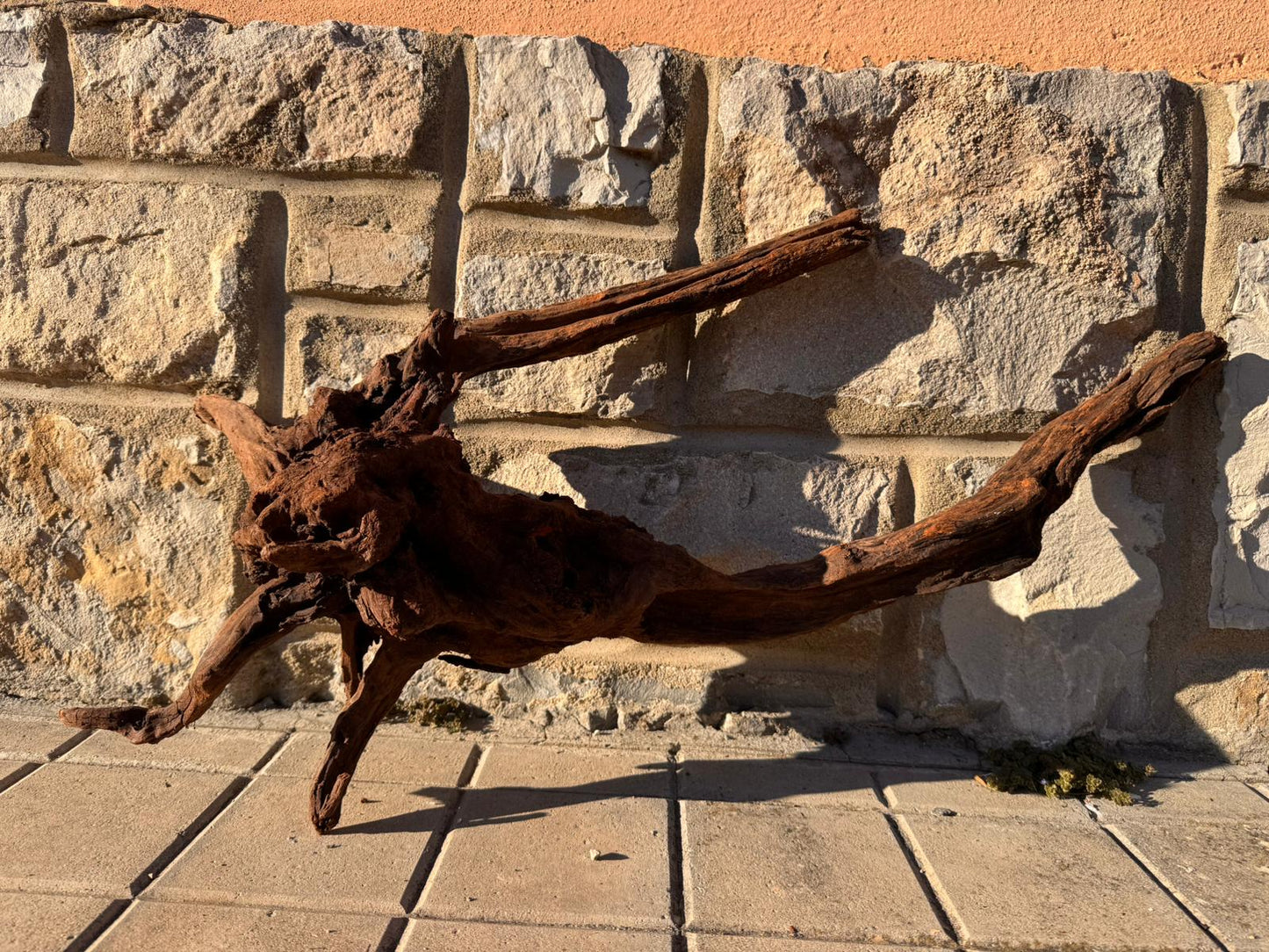 Drift Wood - 40*22*60 - cod.059