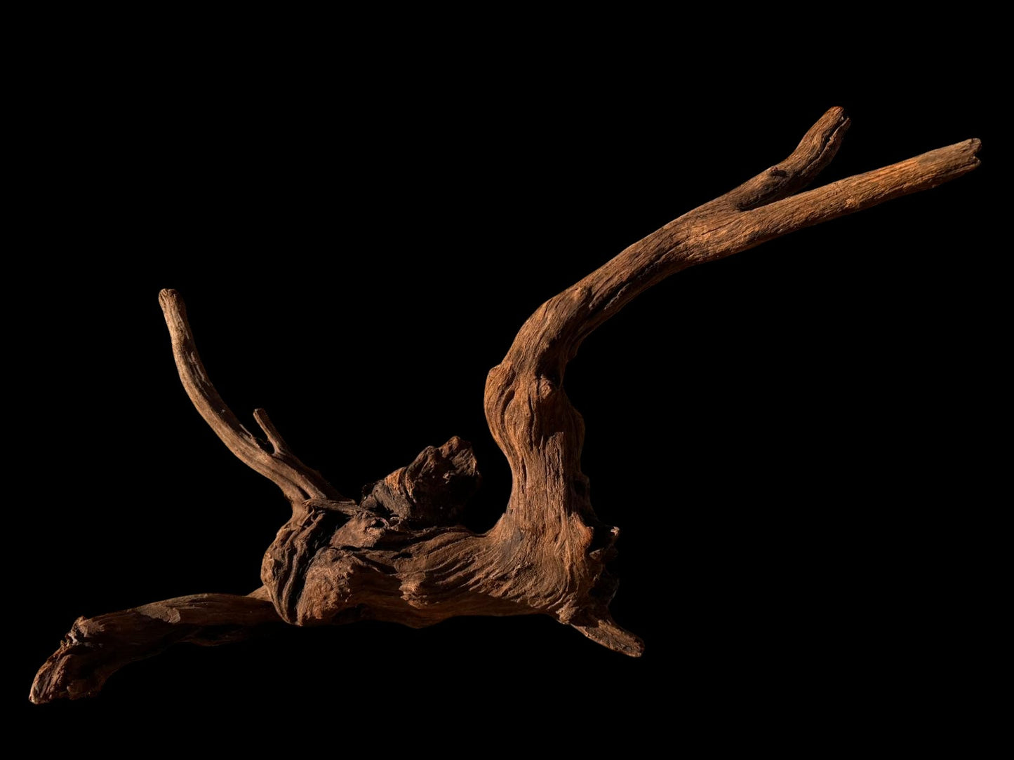 Drift Wood - 61*21*41 - cod.060